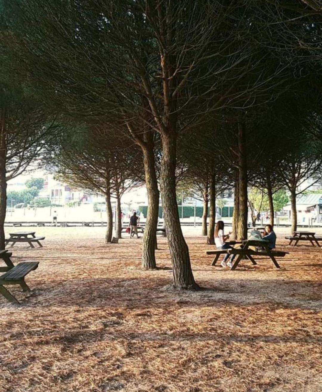 Apto Cortegada Vilagarcia de Arousa Oda fotoğraf